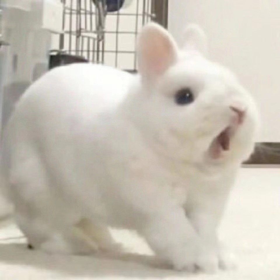 微信友人